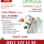 Cow Share Qurbani - Day 1