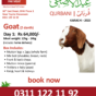 Goat Qurbani - Day 1