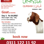 Goat Qurbani - Day 1